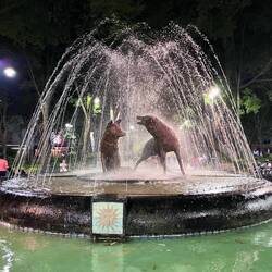 In the Jardín Centenario - Iconic