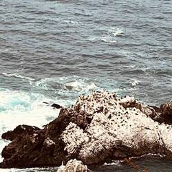 Die Vögel sind kaum zu erkennen, aber das Weiß ist ein Indiz, dass es sie gibt.