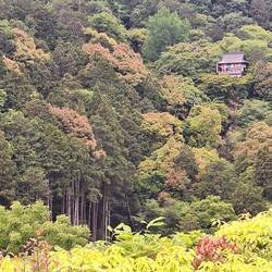 Notice the temple on the hill. We could hear its gong ringing from afar.