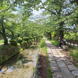 Locals enjoying lunch on the other side of the Philosopher's Path
