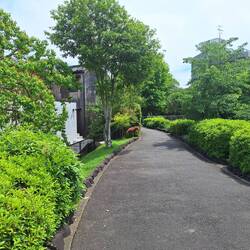 A sweet little side street