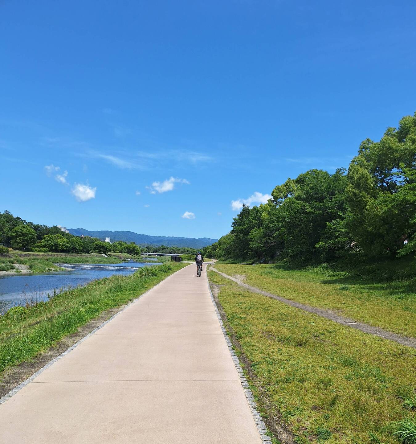 Back on the Kamogawa River