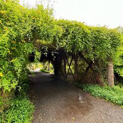 Particolare del parco