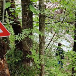 Ob das wieder einmal eine gute Idee ist?