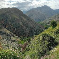 Wild roses and cliffs, we are arriving in Olur
