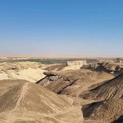 Zurück in Mauretanien??