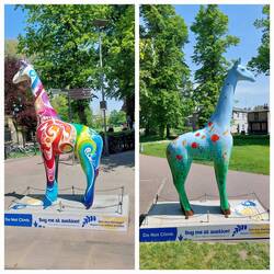 Drummer Street, Go Wild / Christ's Pieces, Poppy