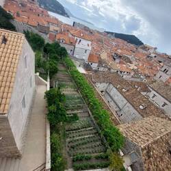 Communal gardens for those that live within Old Town