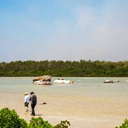 Walking across the salt pans ... Anjo Peninsula — Kimberleys, WA.