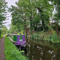 Mooring in the shade at Hinksford, close to a Park Home site.