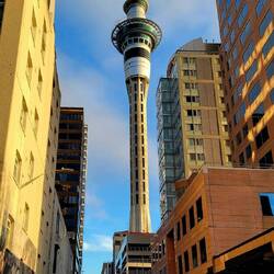 SkyTower in Auckland