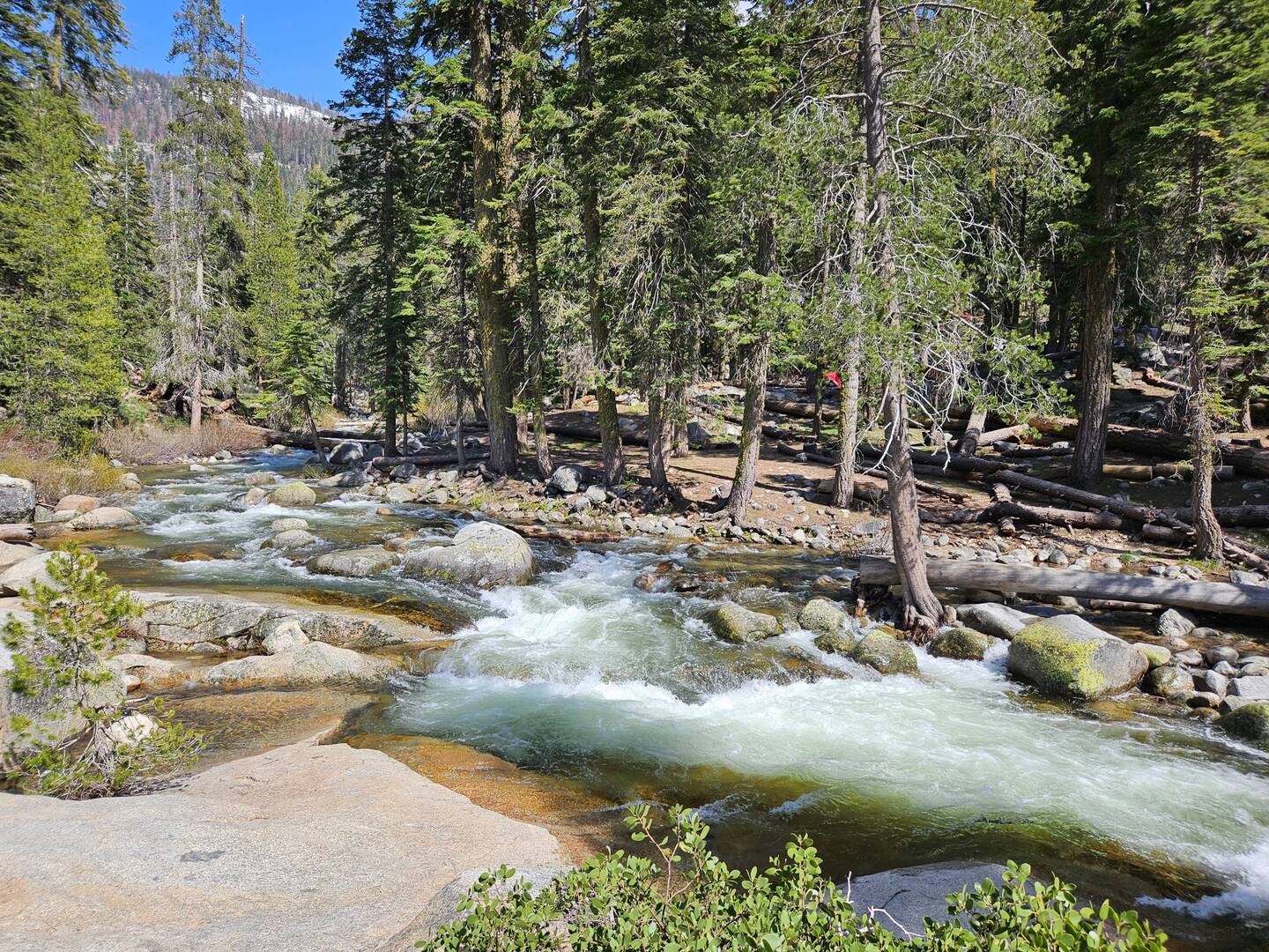 Kaweah River next to trail
