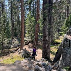 Gentle incline of trail.