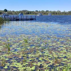 Lake Kununurra