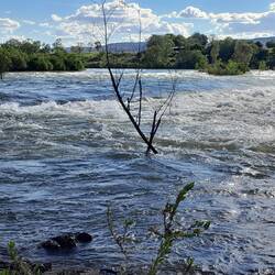 Ivanhoe Crossing