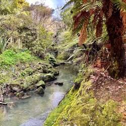 simply in the middle of the city