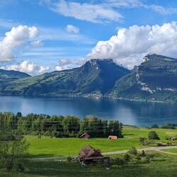 View from their house