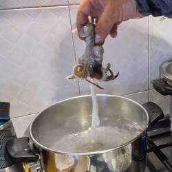 Curl up withboiling for 15 seconds