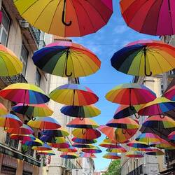 Pink Street