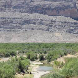 These horses were right in the middle of the desert