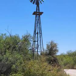 Desert winds are like having an hair dryer blowing in your face