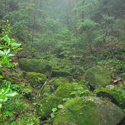 Das Ganze hat etwas Mystisches an sich.