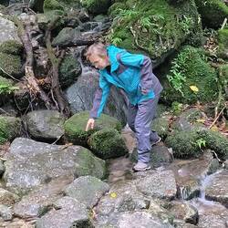 Der Weg durch den Wald hat seine Tücken, wie Figura zeigt😄.