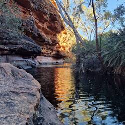 Oase mitten in der grossen Wüste