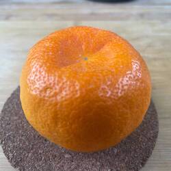 Erste eigene Mandarine geerntet, geschmacklich kaum von einer Zitrone zu unterscheiden