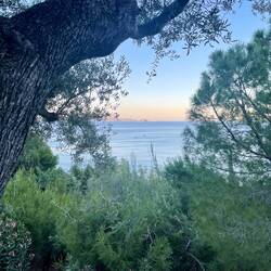 Am Restaurant des Campingplatzes