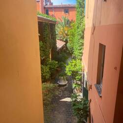 Back yard of our hotel