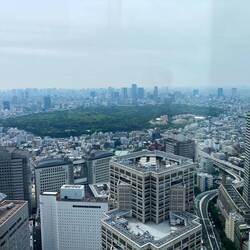 Meji Jingu Shrine amid high rise buildings.