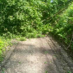 Oh, das sieht nicht gut aus