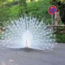 Die Hausherren der Gammersbacher Mühle...