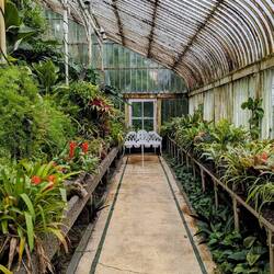 Le jardin botanique !