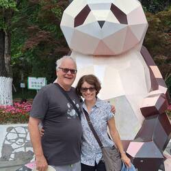 As close as we got to a panda