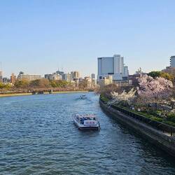 Unser Blick auf den Park