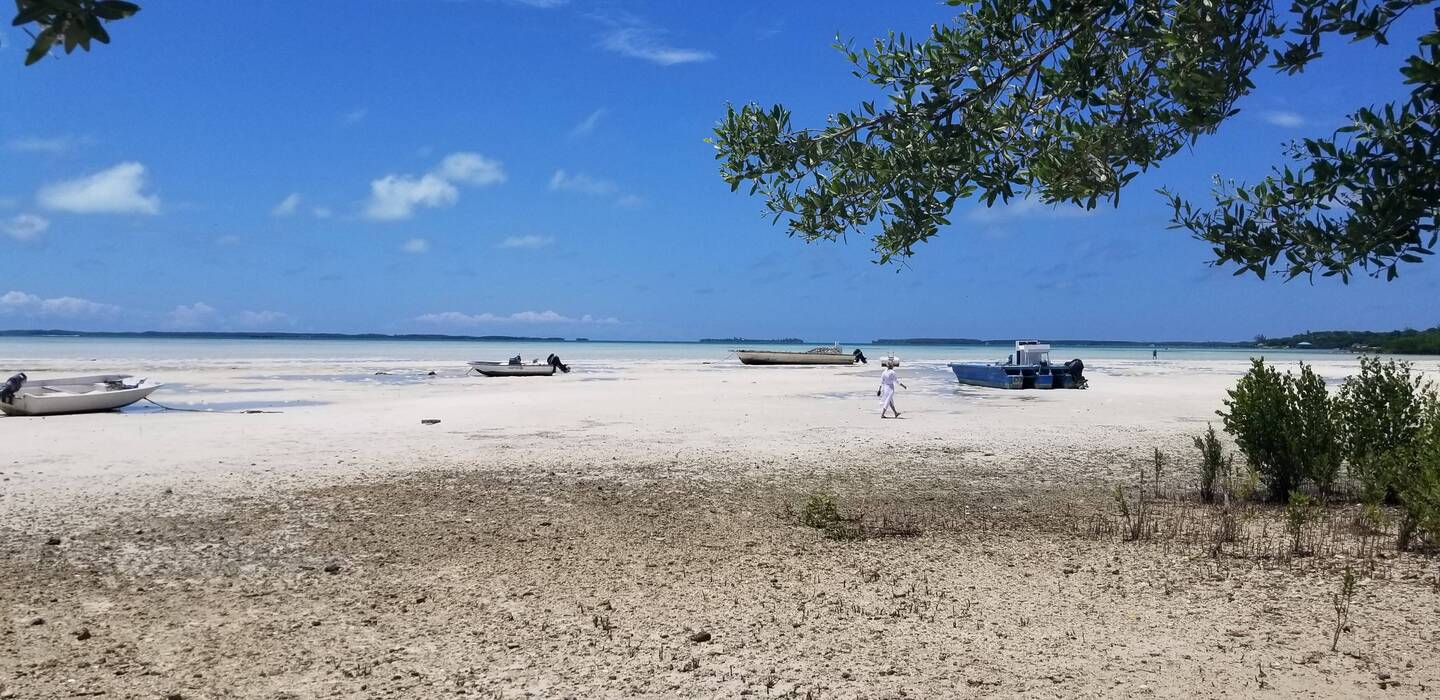 Low tide at Harbour Island Bay, off Eleuthera