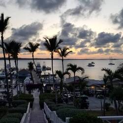 Dinner at Aquapazza (Romora Bay Marina).