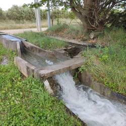 Bewässerung auf den Feldern mit Wasserleitung
