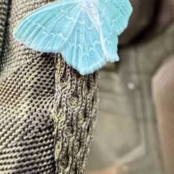 Jodis lactearia, der kleine Smaragd.