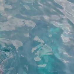 ... jetzt nicht mehr :)