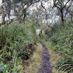 the paths were wonderfully varied