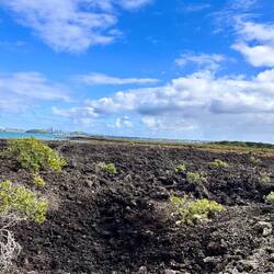 large lava fields