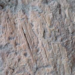 Ich kann da leider nichts erkennen