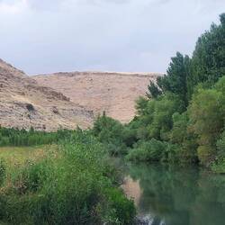 Schlafplatz im Grünen