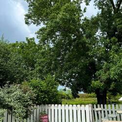 Workaway Aussicht aus Klapfi