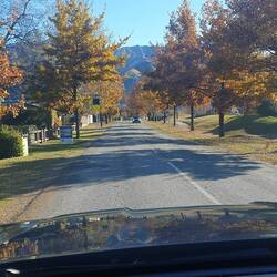 Autumn leaves!!