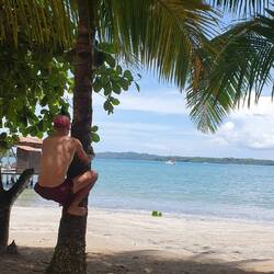 Das Karläffchen möchte eine Kokosnuss ergattern...