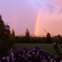 Herrlicher Regenbogen am Abend